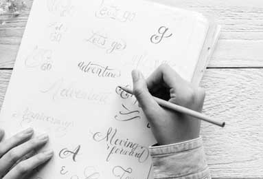 三三合数打一生肖、积极解释与落实的转变